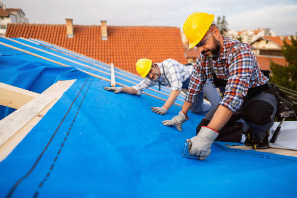 Best Roof Installation  in Coulee Dam, WA